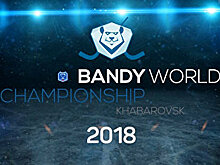 Хабаровск примет чемпионат мира по хоккею с мячом в 2018 году
