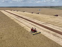 Волгоградская область оказалась в пятерке мощнейших аграрных регионов