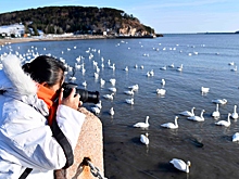 В Железноводске пройдет фотофестиваль «Курортный кадр»