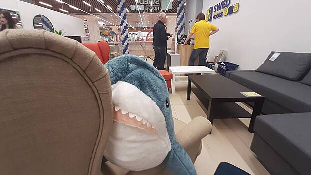 «Соскучились по акулам»: какие товары и по каким ценам можно найти в магазине белоруской сети Swed House