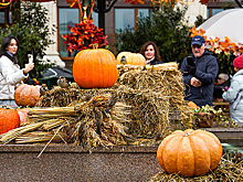 На следующей неделе в Московском регионе слегка потеплеет