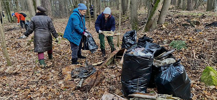 В лесополосе села Ильинское провели субботник