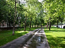 Инвестор построит спортивный комплекс на Кавказском бульваре