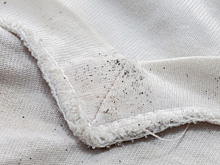 Плесень на одежде: как спасти любимые вещи и остановить грибок