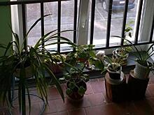 Более 230 подъездов отремонтировали в Клину