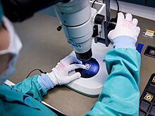 Резидентами московских технопарков стали более двух тысяч компаний