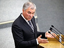 Володин: Трудовые мигранты не должны везти в Россию свои семьи