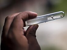 Вирусолог Волчков назвал способы защиты от серьезных заболеваний в тропиках