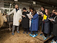 В Тимирязевке появился на свет бычок Абитуриент