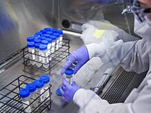 ВОЗ предупредила о стремительном распространении нового штамма COVID-19