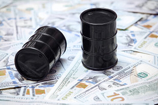 Высокая цена нефти может поднять ожидаемые доходы бюджета РФ