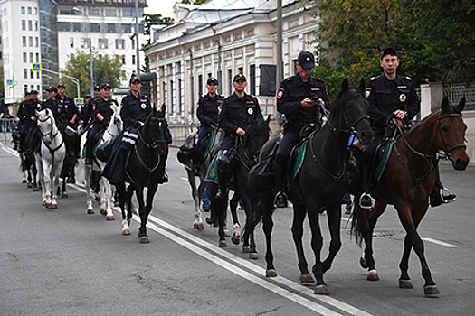 Полицейских обвинили в организации лошадиных боев