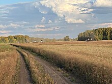 Не успели все убрать: новосибирские аграрии просят продлить режим ЧС в регионе
