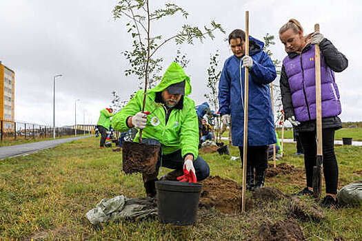 В Пензенской области высадили 35-миллионное дерево в рамках акции "Сохраним лес"