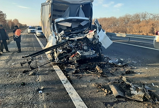 В ДТП на омской трассе погиб водитель «Газели»