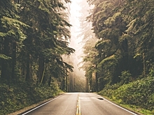 Ради строительства дублера Щелковского шоссе придется изменить границы национального парка