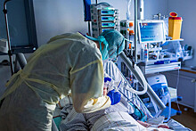 «Травматическая процедура»: пациенты на ИВЛ умирают от грибка