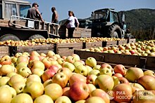 Dagens Nyheter (Швеция): успехи Польши были бы невозможны без украинских мигрантов