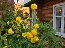 Дачникам разрешили не оплачивать необоснованные счета