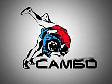 Чувашия. Бой без правил