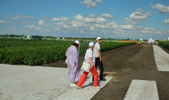 Волгоградцы обсуждают День поля, запрет на движение большегрузов и новые камеры видеонаблюдения на дорогах