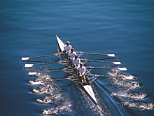 Новая жизнь гребного канала «Дон»: кузницу спортивных кадров модернизируют