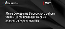 Юные боксеры из Выборгского района заняли шесть призовых мест на областных соревнованиях