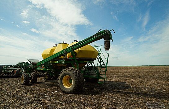 Курганские аграрии столкнулись с проблемой: прорастает зерно в колосе