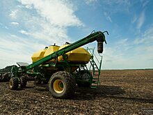 Курганские аграрии столкнулись с проблемой: прорастает зерно в колосе