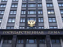 О чем говорят в Госдуме сегодня: борьба с новогодними елками и ограничения для мигрантов