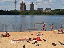 Эксперт: климат Москвы может стать тропическим через 50-70 лет