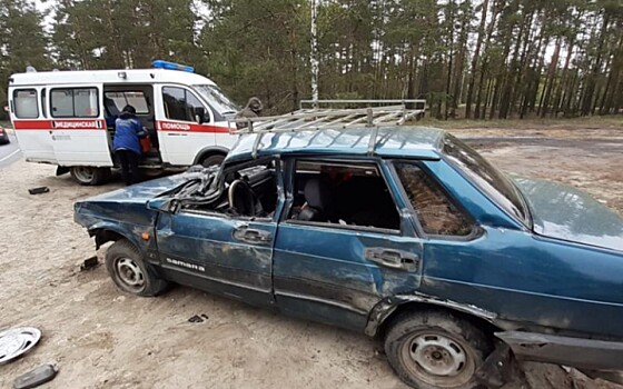 В Клепиковском районе столкнулись «КамАЗ» и «девяносто девятая»