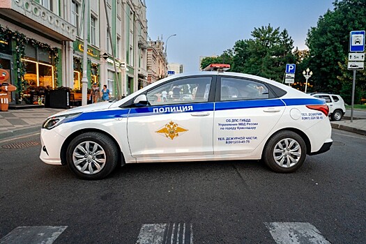 Житель Кубани дважды безуспешно пытался сбежать от полиции