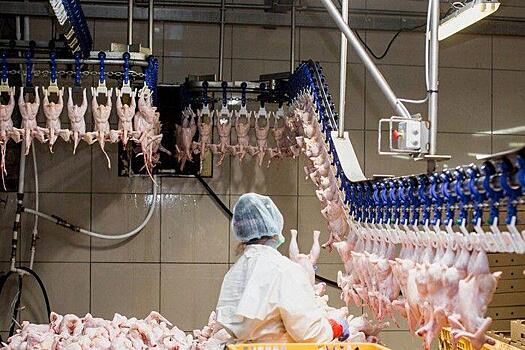 Известный бизнесмен выкупил «Михайловский бройлер»