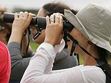 Ростуризм исключил из реестра туроператоров «РоссТур»