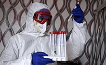 В России выявили 3 382 случая заражения коронавирусом за сутки