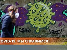 Песков сообщил о ежедневных контактах Путина с экспертами по коронавирусу