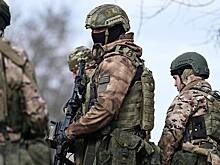 «Секретное оружие»: ВС РФ используют лошадей и ослов для обхода украинских дронов