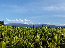 ТОП-10 причин посетить регион Гурия